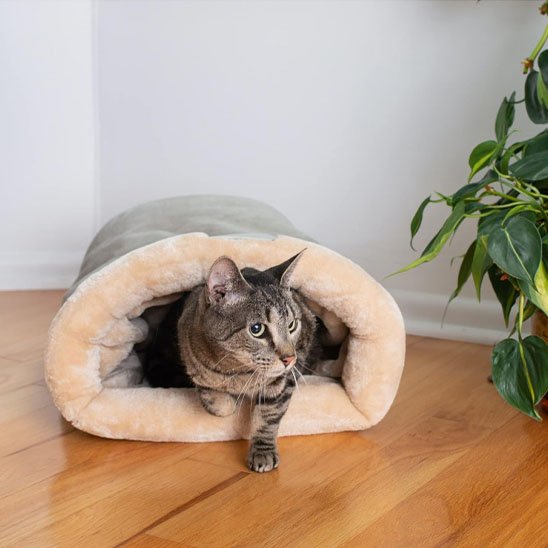 Coussin à chat