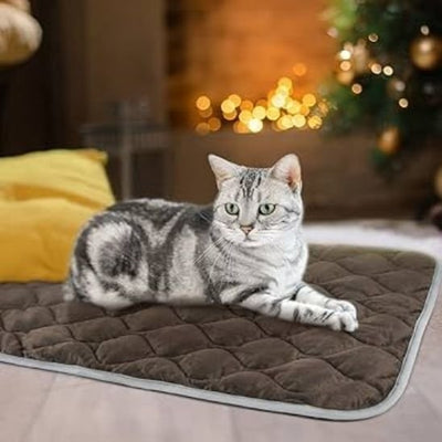 chat gris couché sur coussin chat auto chauffant