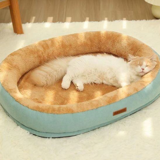 coussin chat bleu