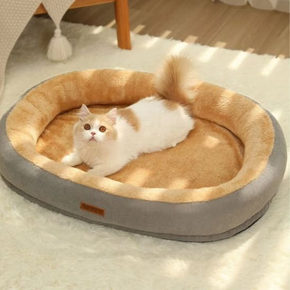 coussin chat gris 