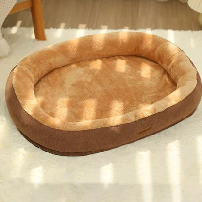 coussin chat