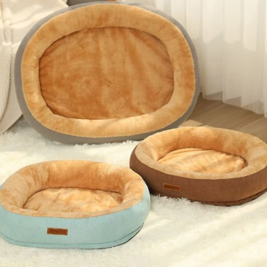 coussin chat