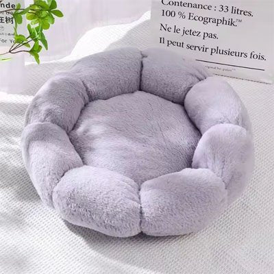 Coussin pour chat