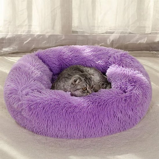 chat couché dans coussin pour chat moelleux violet