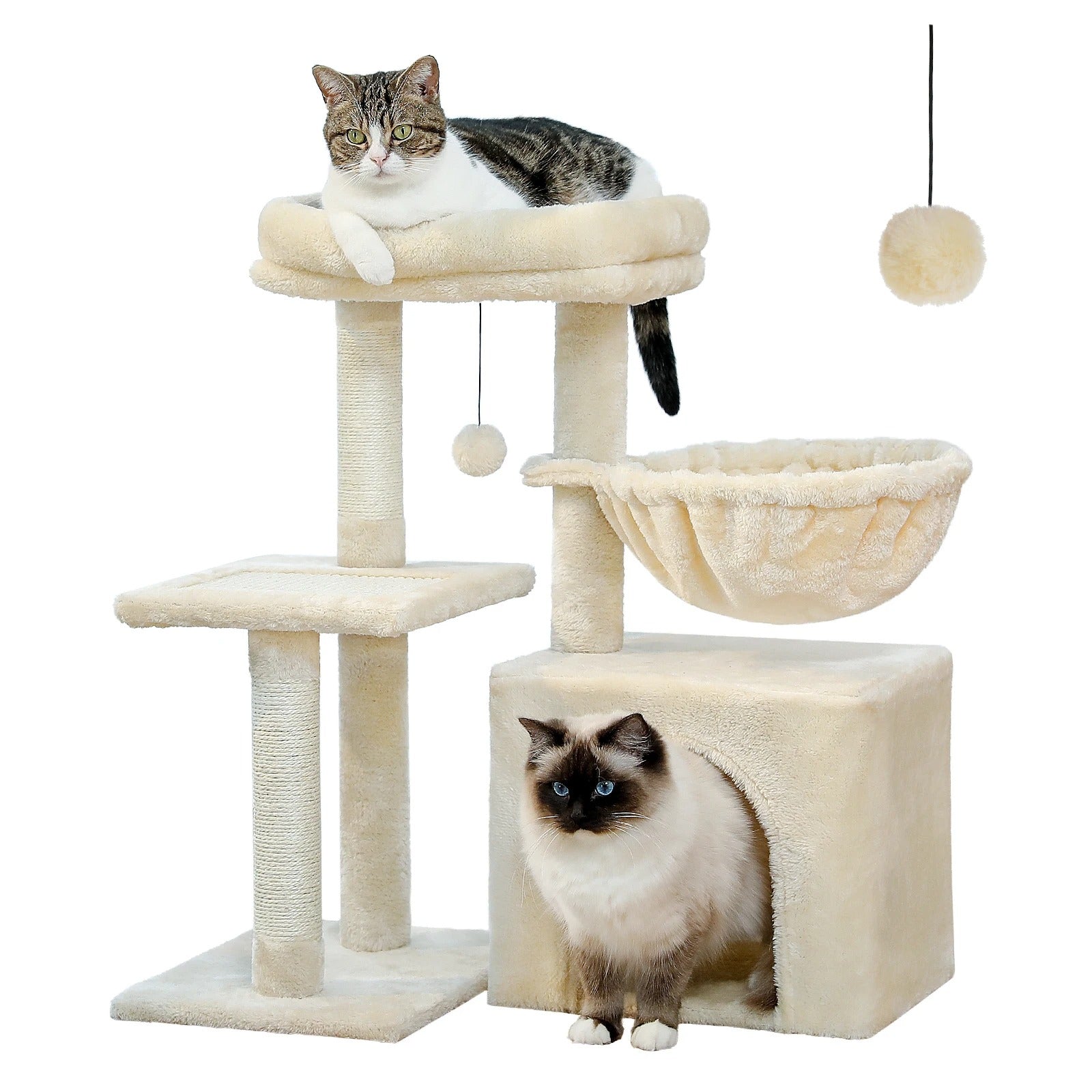 deux chat dans le Petit_arbre_a_chat_belge