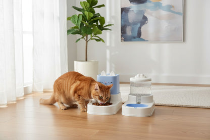 distributeu_eau_et_croquettes_pour_chat qui mange