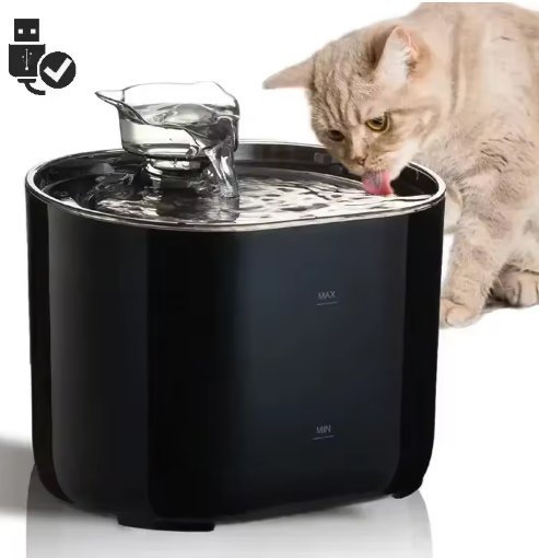 chat brun boit dans fontaine à eau chat