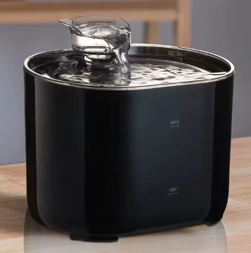 eau coule dans fontaine à eau chat