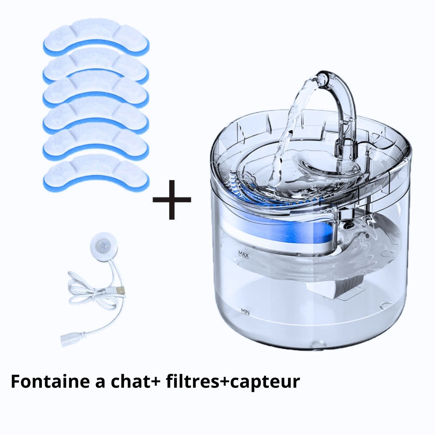 fantaine a chat transparent et filtres