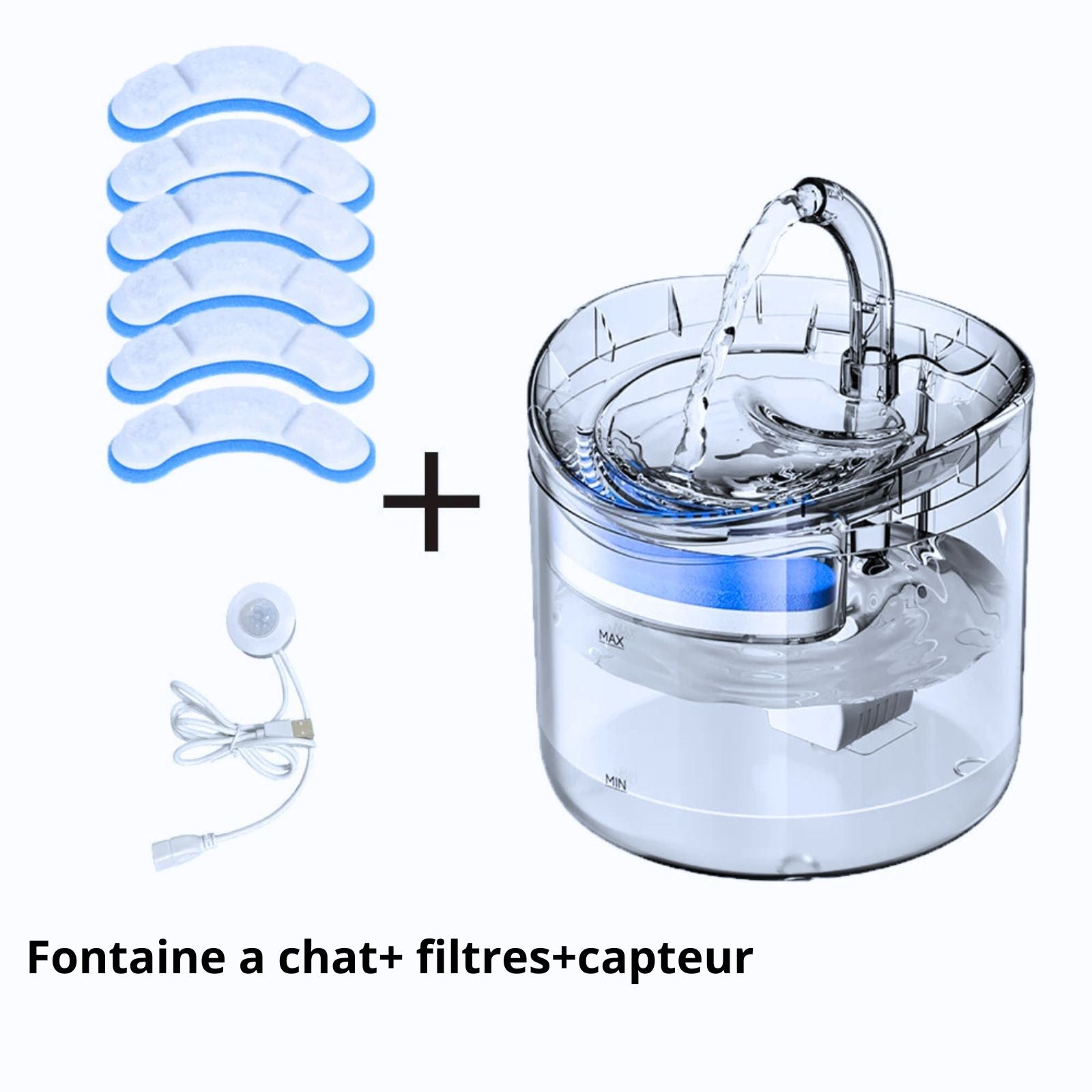 fantaine a chat transparent et filtres