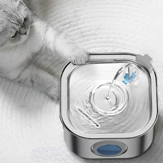 fontaine a eau pour chat coulant eau en innox