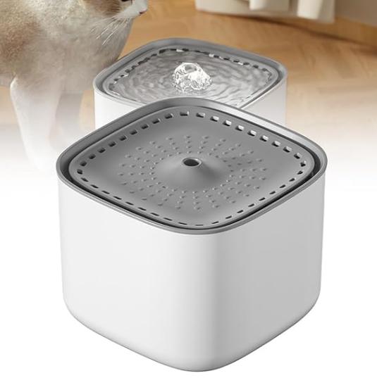 fontaine eau chat blanc