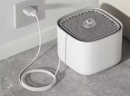 fontaine eau chat branche