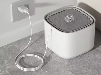 fontaine eau chat branche