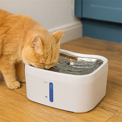 Fontaine a eau chat | Ultra-Silencieuse™