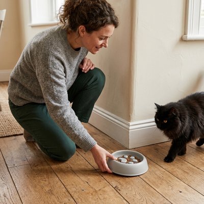 Gamelle anti glouton Chat