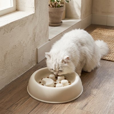 Gamelle anti glouton Chat
