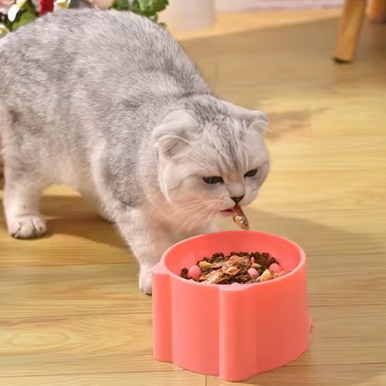 Gamelle anti glouton chat