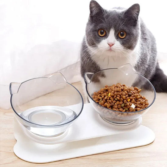 gamelle chat transparente remplie