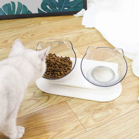 chat blanc mange croquettes dans gamelle chat transparente