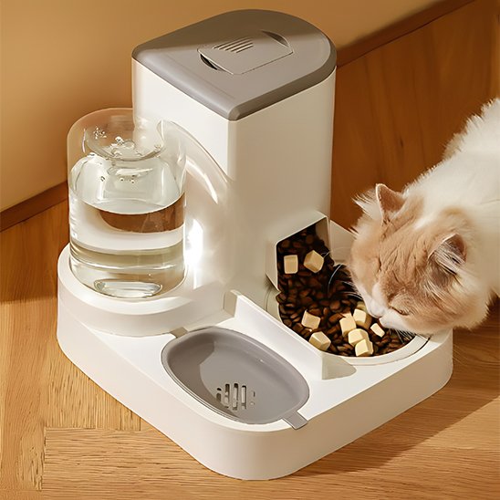 gamelle automatique chat mange