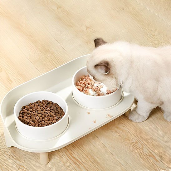 gamelle chat double bols blanche chat