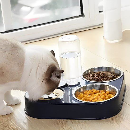 Gamelle Chat | cutie™ MITSOU SHOP