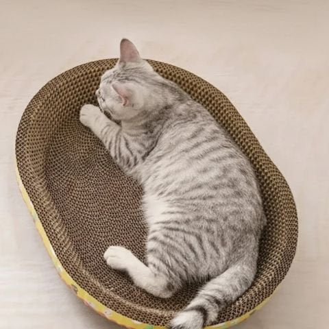 Griffoir en carton pour chat