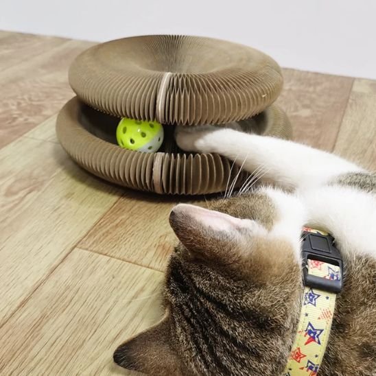 Griffoir pour chat