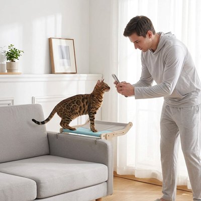 homme et chat a cote de Hamac pour Chats