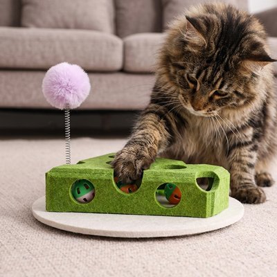 Jeu pour chat 
