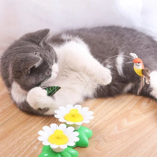 Jouet interactif Chat