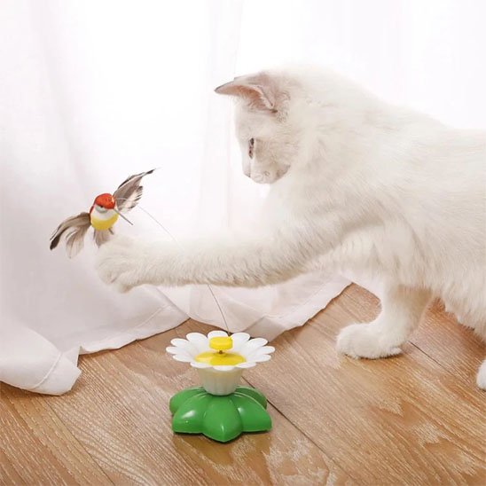 Jouet interactif Chat