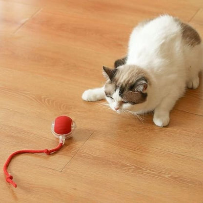 Jouet pour chat