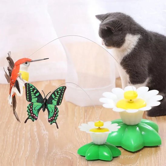 Jouet pour Chat