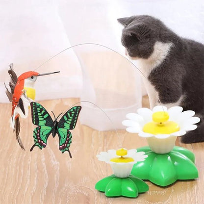 Jouet pour Chat
