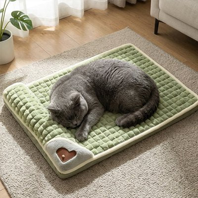 Lit pour Chat