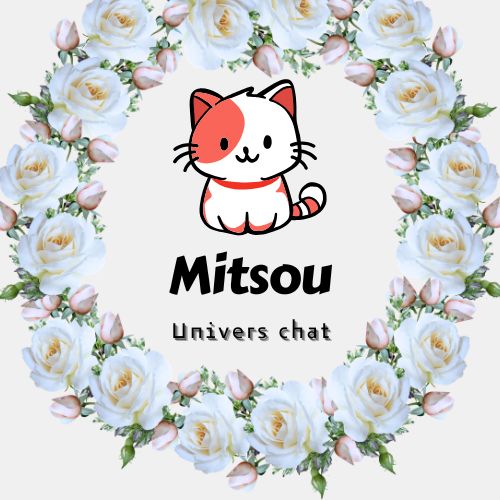 MITSOU UNIVERS CHAT