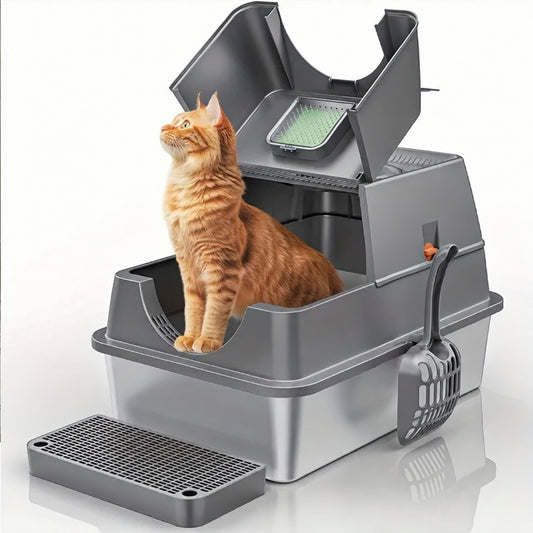 chat dans maison de toilette chat