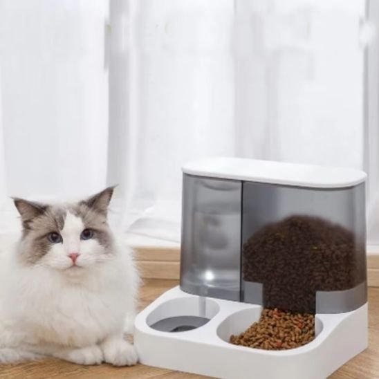 meilleure Distributeur Automatique de Croquettes pour Chat 