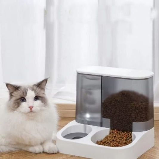 meilleure Distributeur Automatique de Croquettes pour Chat 