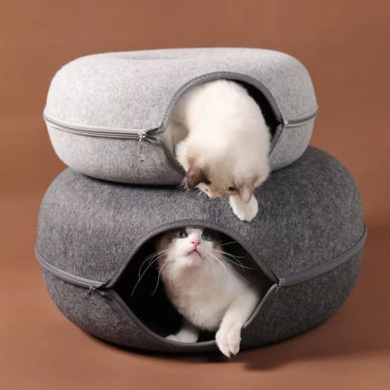 niche à chat 
