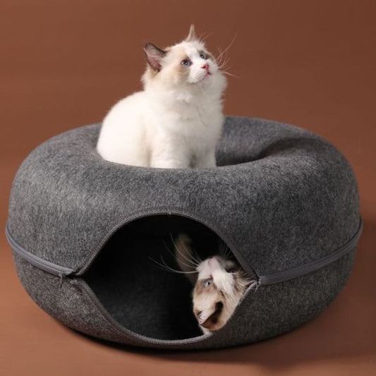 niche à chat 