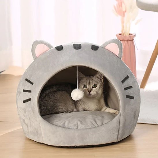 Niche pour chat