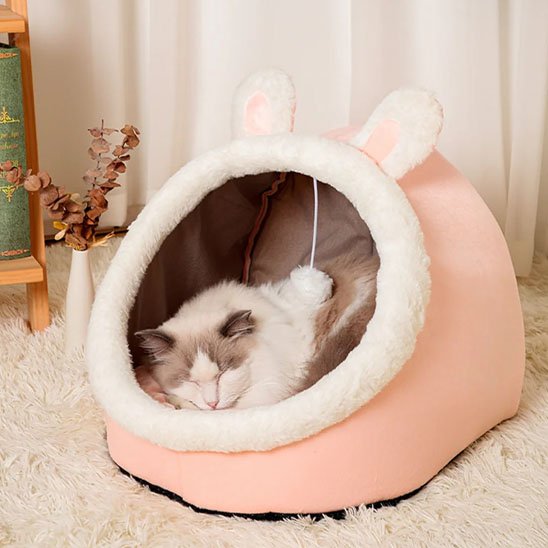 Niche pour chat
