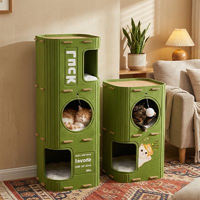 Niche pour chat avec chats