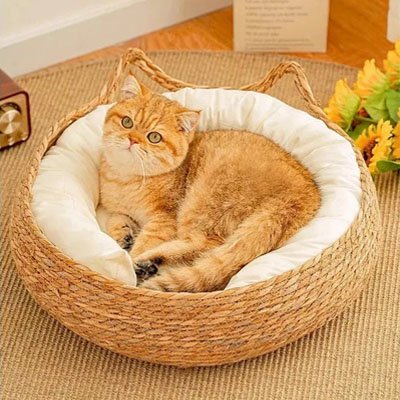 Panier osier Chat naturel