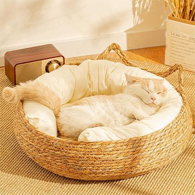 chat qui dort dans Panier osier Chat