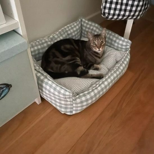 Panier pour chat vichy