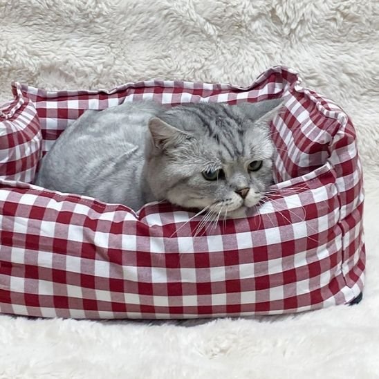 chat qui dors dans Panier pour chat vichy rouge
